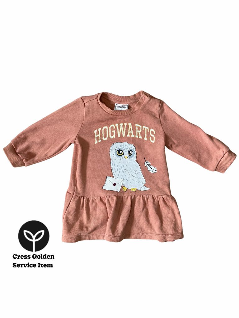 H&M Hogwarts Harry Potter Dress | 4-6 months - Cress : Cress